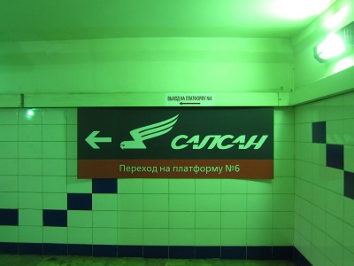 IMG_5138.JPG
