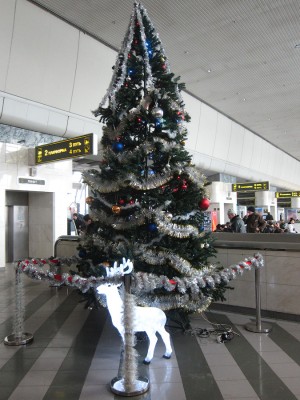 IMG_5247.JPG (625.86 КБ) Просмотров: 13387 IMG_5247.JPG