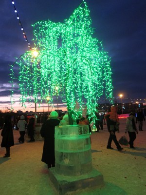 IMG_5355.JPG