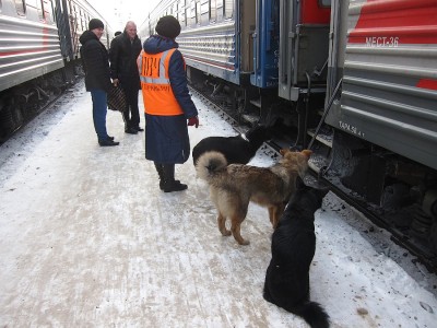 IMG_5869.JPG (619.66 КБ) Просмотров: 18094 IMG_5869.JPG