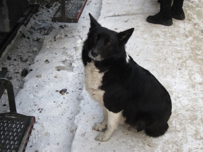 IMG_5876.JPG (534.75 КБ) Просмотров: 18094 IMG_5876.JPG