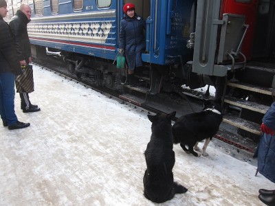 IMG_5871.JPG (605.91 КБ) Просмотров: 18094 IMG_5871.JPG