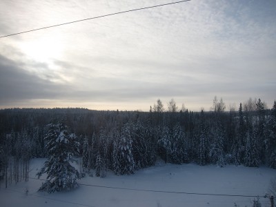 IMG_5905.JPG (452.59 КБ) Просмотров: 7760 IMG_5905.JPG