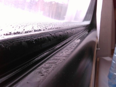 WP_20140212_037.jpg