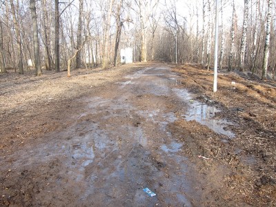 IMG_6253.jpg