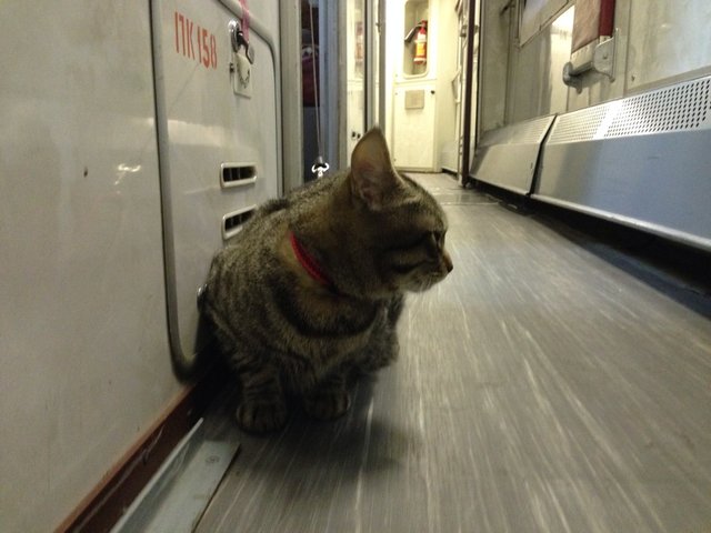 image-30-05-14-11-02.jpeg (221.63 КБ) Просмотров: 11032 image-30-05-14-11-02.jpeg