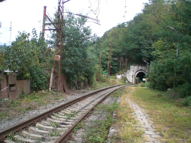 CIMG2499.JPG