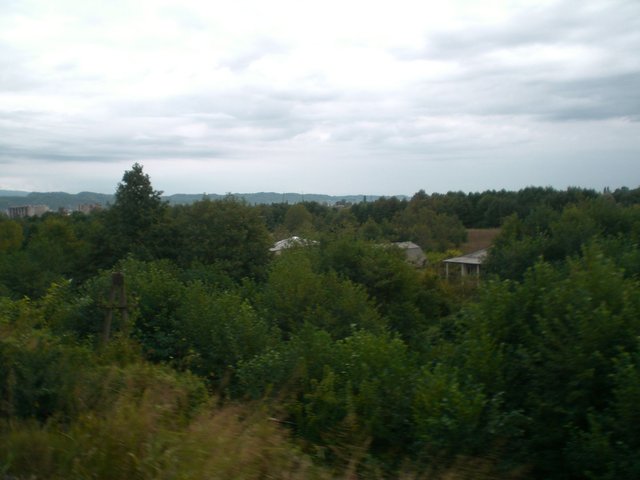 CIMG2529.JPG