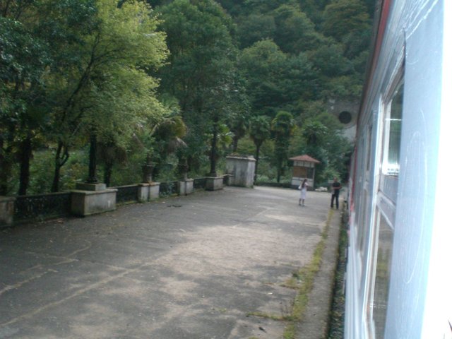 CIMG2543.JPG