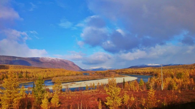 1524879_854402534599628_8210985324462248242_n.jpg (56.58 КБ) Просмотров: 5381 1524879_854402534599628_8210985324462248242_n.jpg