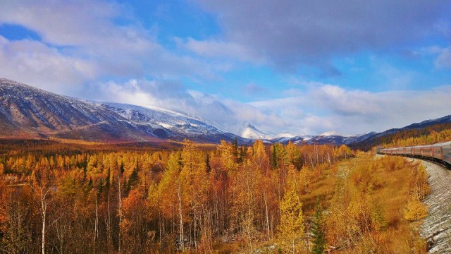 10253855_854402504599631_5653927671672458370_n.jpg (114.29 КБ) Просмотров: 4361 10253855_854402504599631_5653927671672458370_n.jpg