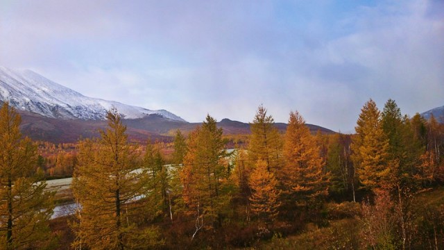 1426232_854402391266309_6065020866248135285_n.jpg (90.62 КБ) Просмотров: 4361 1426232_854402391266309_6065020866248135285_n.jpg