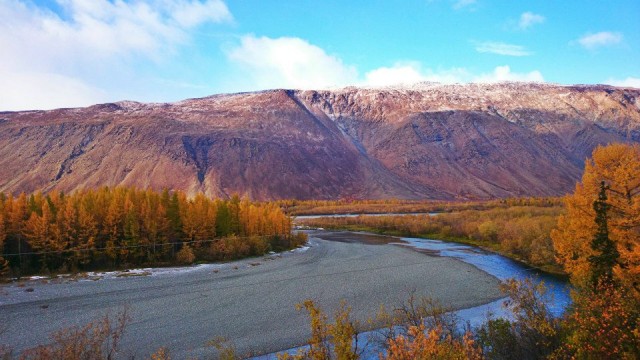 1002695_854402524599629_7595235377417379347_n.jpg (124.93 КБ) Просмотров: 4361 1002695_854402524599629_7595235377417379347_n.jpg