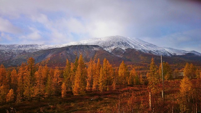 10387421_854402417932973_7144965699636328122_n.jpg (99.43 КБ) Просмотров: 5381 10387421_854402417932973_7144965699636328122_n.jpg