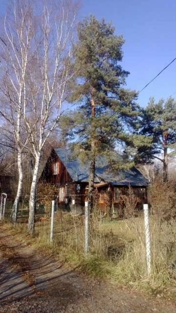 WP_20141025_056.jpg