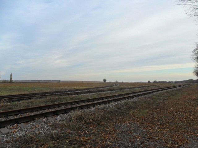 SAM_3370.JPG