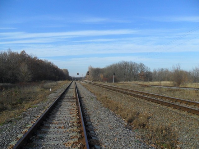 SAM_3352.JPG