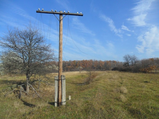 SAM_3350.JPG