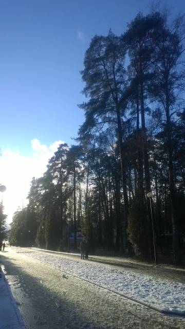 WP_20151122_108.jpg