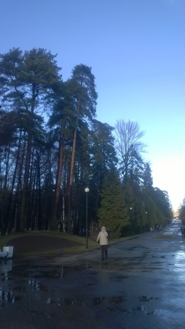 WP_20151122_119.jpg