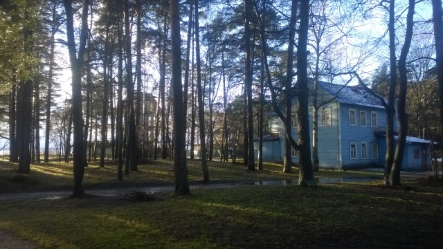 WP_20151122_117.jpg