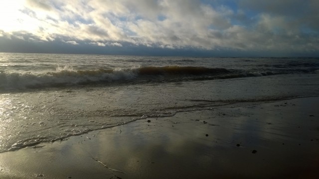 WP_20151122_146.jpg