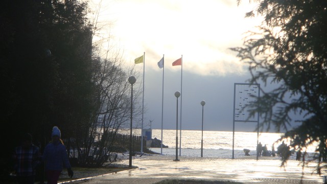 DSC01331.JPG