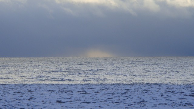 DSC01339.JPG