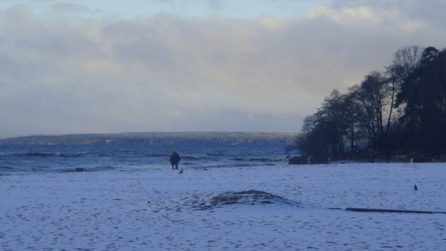 DSC01340.JPG