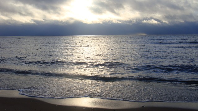 DSC01343.JPG