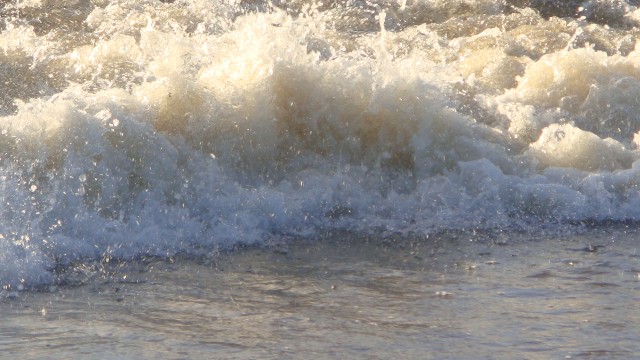 DSC01366.JPG