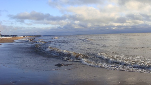 DSC01378.JPG
