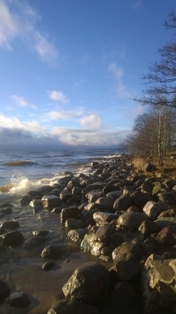 WP_20151122_156.jpg