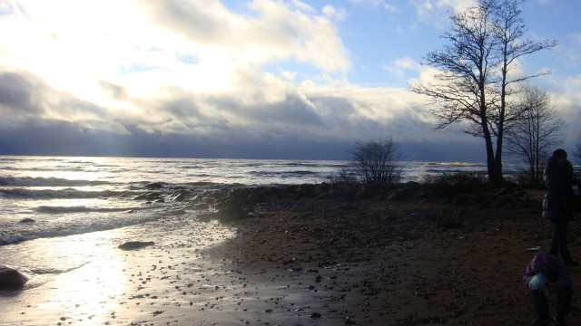 DSC01375.JPG