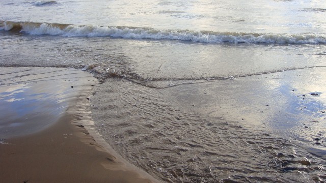 DSC01374.JPG