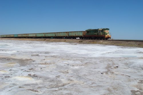 37364285.jpg