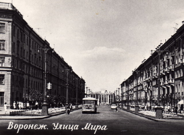 Воронеж1.jpg