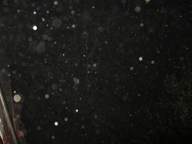 IMG_2222.JPG (159.04 КБ) Просмотров: 8064 IMG_2222.JPG