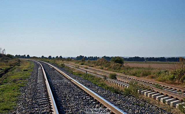 1709-2016-12.jpg