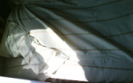 _DSC00194_zhd2.jpg