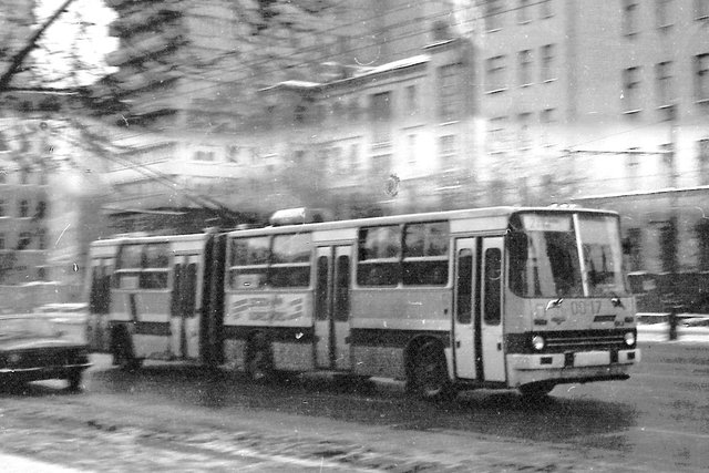 519335.jpg