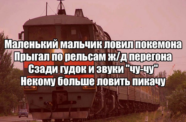 10803228.jpg