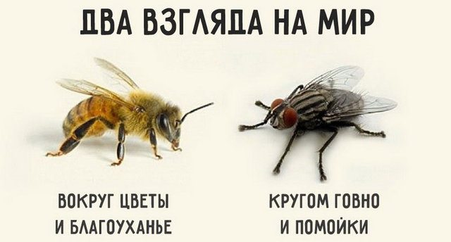 K-voprosu-o-dualizme.jpg