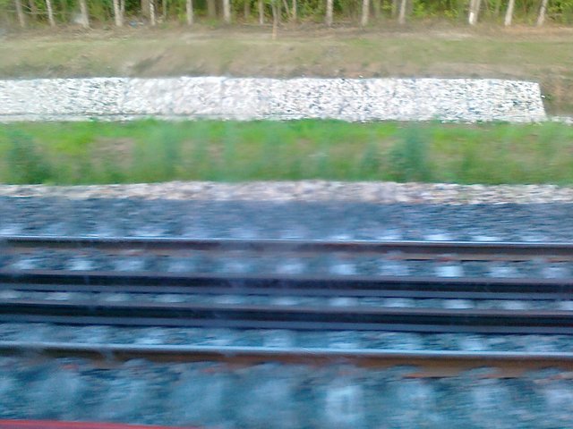 27072019441.jpg