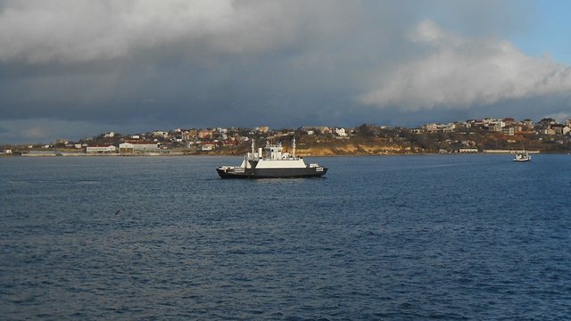 223.jpg