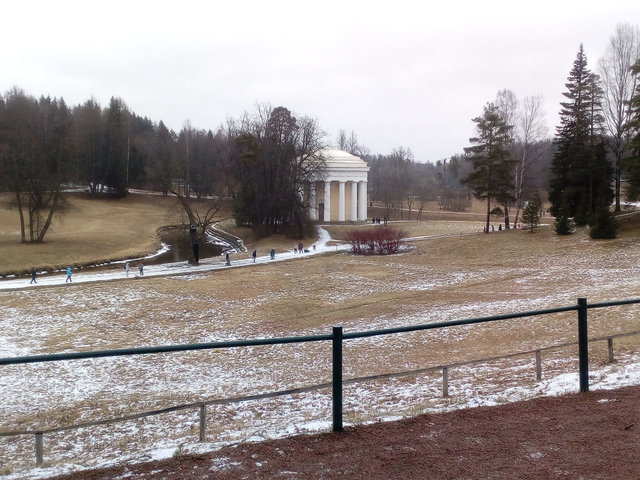 IMG_20200301_144536.jpg