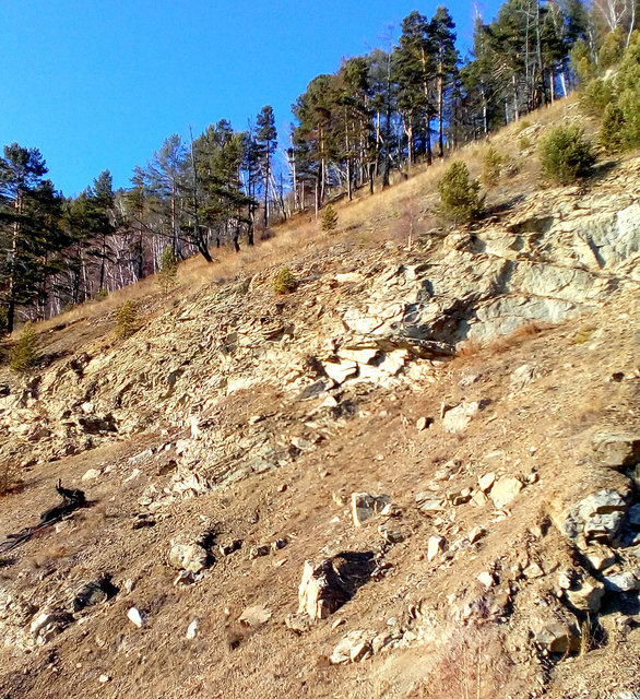 IMG_20170408_173948-001.jpg (452.92 КБ) Просмотров: 2996 IMG_20170408_173948-001.jpg