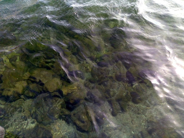 IMG_20170410_161131.jpg (276.55 КБ) Просмотров: 2990 IMG_20170410_161131.jpg