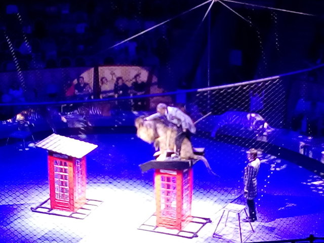 IMG_20190602_150910.jpg (194.02 КБ) Просмотров: 4505 IMG_20190602_150910.jpg