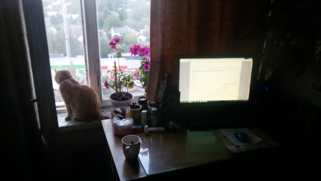 20200807_201146.jpg